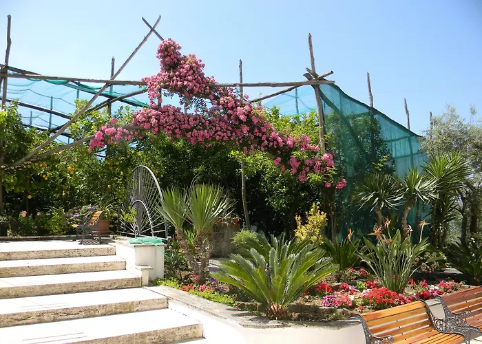 Bed and Breakfast Oasi Madre della Pace Sorrento
